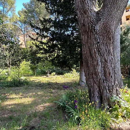 Goldsand Plage, Piscine, Jardin, Parking * La Ciotat